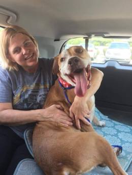 13165861_10153553041597374_3919147086009585877_n