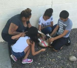 13342907_686864164786425_3210677993223617713_n