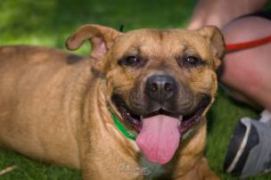 13668817_10154420606523010_3491679188339933275_o