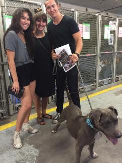 13939382_718009451671896_3144955651408022763_n