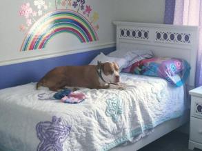 14364670_734102193395955_2280761167703648432_n-1