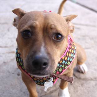 12189325_1087989521220812_7689707378791375289_o