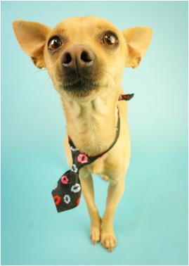 10012872_10153390909587374_5399888146650689104_o