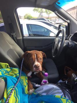 12512406_10153468029532143_924897051756945825_n