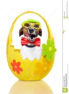 dog-colorful-easter-egg-23754261