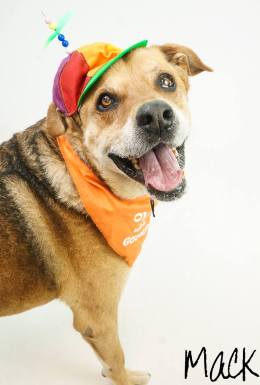 12968108_10153473321602374_5515067442032467428_o