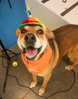 12973155_10153473339277374_7213446305270083308_o