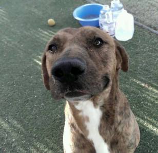 11141278_984351321647465_4102501342437101004_o