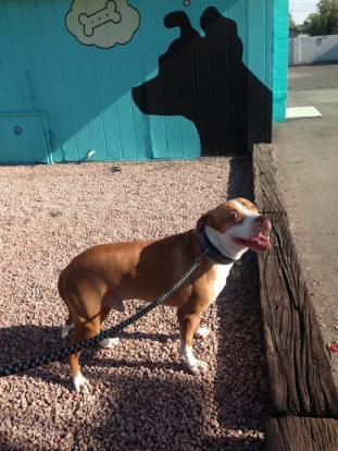 13254218_679827922156716_2362223800504122281_n