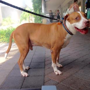 13413063_688124054660436_352905547167830043_n