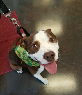 13661860_10206899292980966_8909562976619389931_o