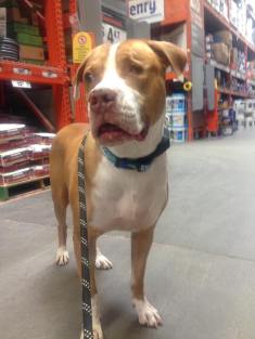 13669663_709678859171622_6208795723072950342_n