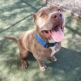 file-sep-27-9-21-48-am