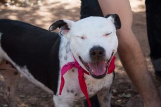 15003188_10211329878465398_3342647695029877831_o