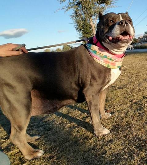 16195199_10210085269340989_5854179257853931969_n