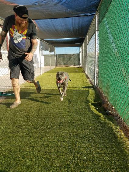 19531963_10102485115960051_1247632133_o