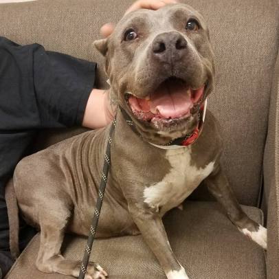 19551510_10102485113779421_799785155_o