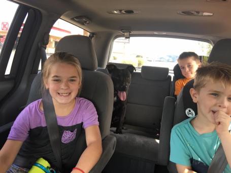 19894852_10155905308439239_4068662265866048953_n