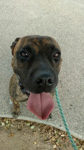 File Aug 02, 9 05 53 AM