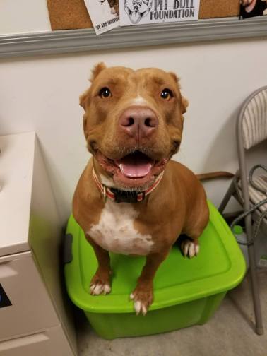 22281150_10102676369825771_1407294931_o