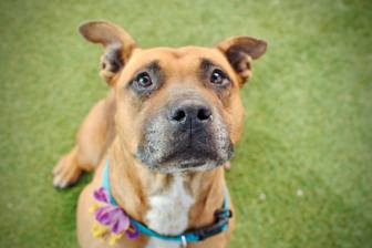 22791919_10209889456529483_3291436054376636085_o